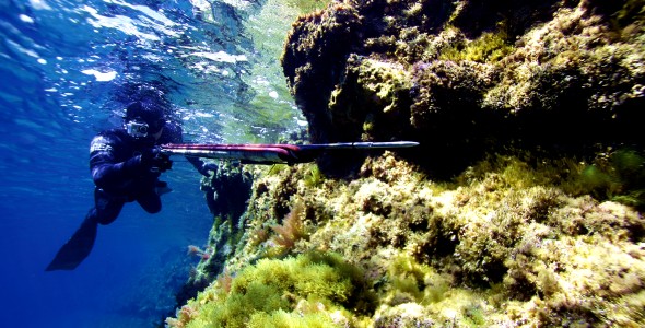 item-banner